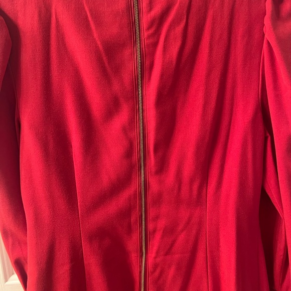 The Limited red shift dress exposed zipper perfect for Christmas - Picture 3 of 5